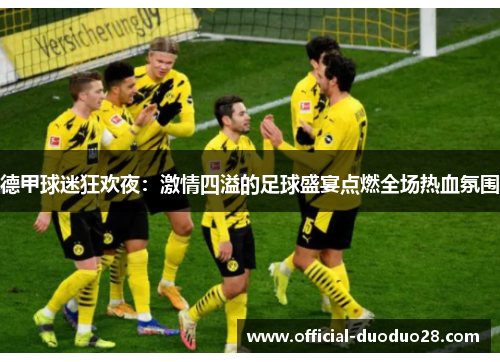 德甲球迷狂欢夜：激情四溢的足球盛宴点燃全场热血氛围