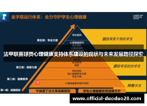 法甲联赛球员心理健康支持体系建设的现状与未来发展路径探索