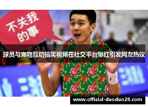 球员与宠物互动搞笑视频在社交平台爆红引发网友热议