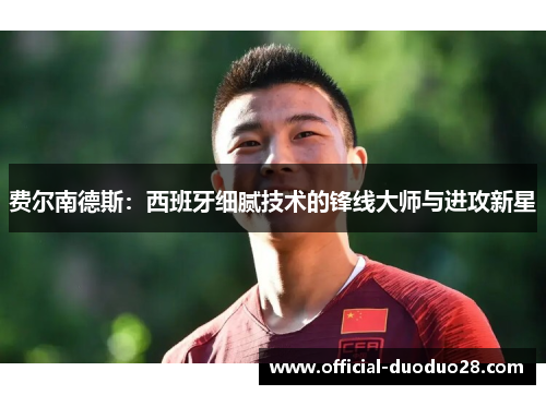 费尔南德斯：西班牙细腻技术的锋线大师与进攻新星