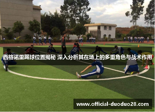 西格诺里踢球位置揭秘 深入分析其在场上的多重角色与战术作用