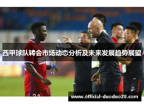 西甲球队转会市场动态分析及未来发展趋势展望