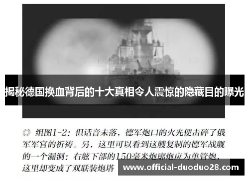 揭秘德国换血背后的十大真相令人震惊的隐藏目的曝光
