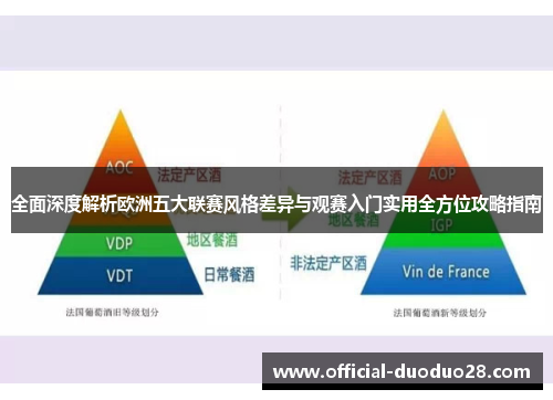 全面深度解析欧洲五大联赛风格差异与观赛入门实用全方位攻略指南